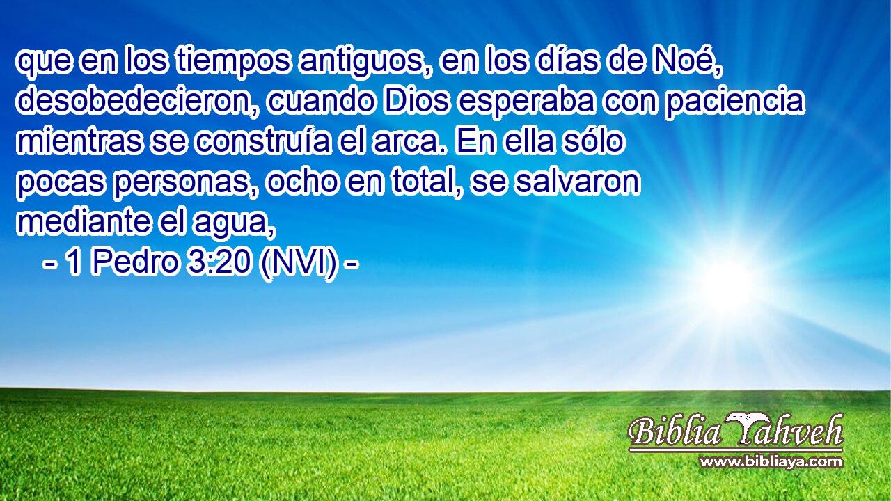  que en los tiempos antiguos, en los días de Noé, desobedecieron, cuando Dios esperaba con paciencia mientras se construía el arca. En ella sólo pocas personas, ocho en total, se salvaron mediante el agua, 