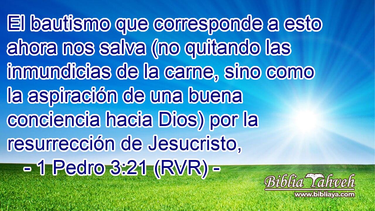 El bautismo que corresponde a esto ahora nos salva (no quitando las inmundicias de la carne, sino como la aspiración de una buena conciencia hacia Dios) por la resurrección de Jesucristo,