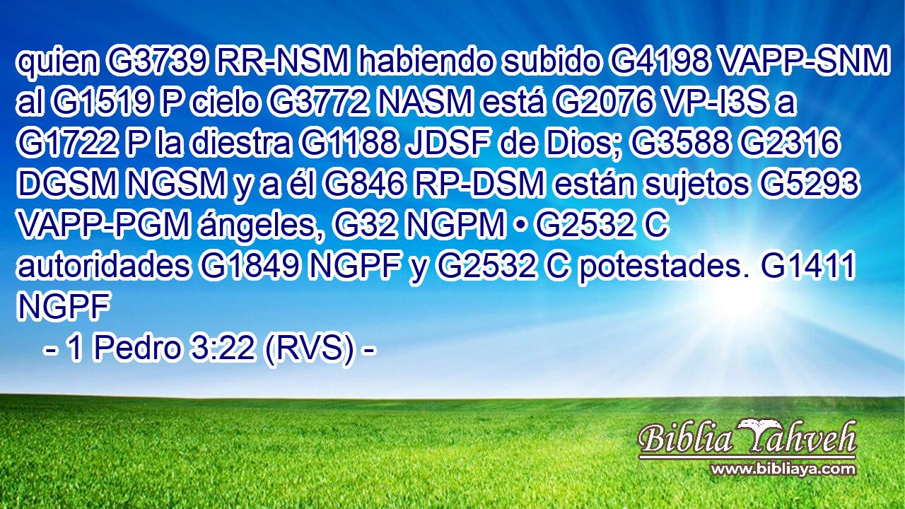 quien G3739 RR-NSM habiendo subido G4198 VAPP-SNM al G1519 P cielo G3772 NASM está G2076 VP-I3S a G1722 P la diestra G1188 JDSF de Dios; G3588 G2316 DGSM NGSM y a él G846 RP-DSM están sujetos G5293 VAPP-PGM ángeles, G32 NGPM • G2532 C autoridades G1849 NGPF y G2532 C potestades. G1411 NGPF 