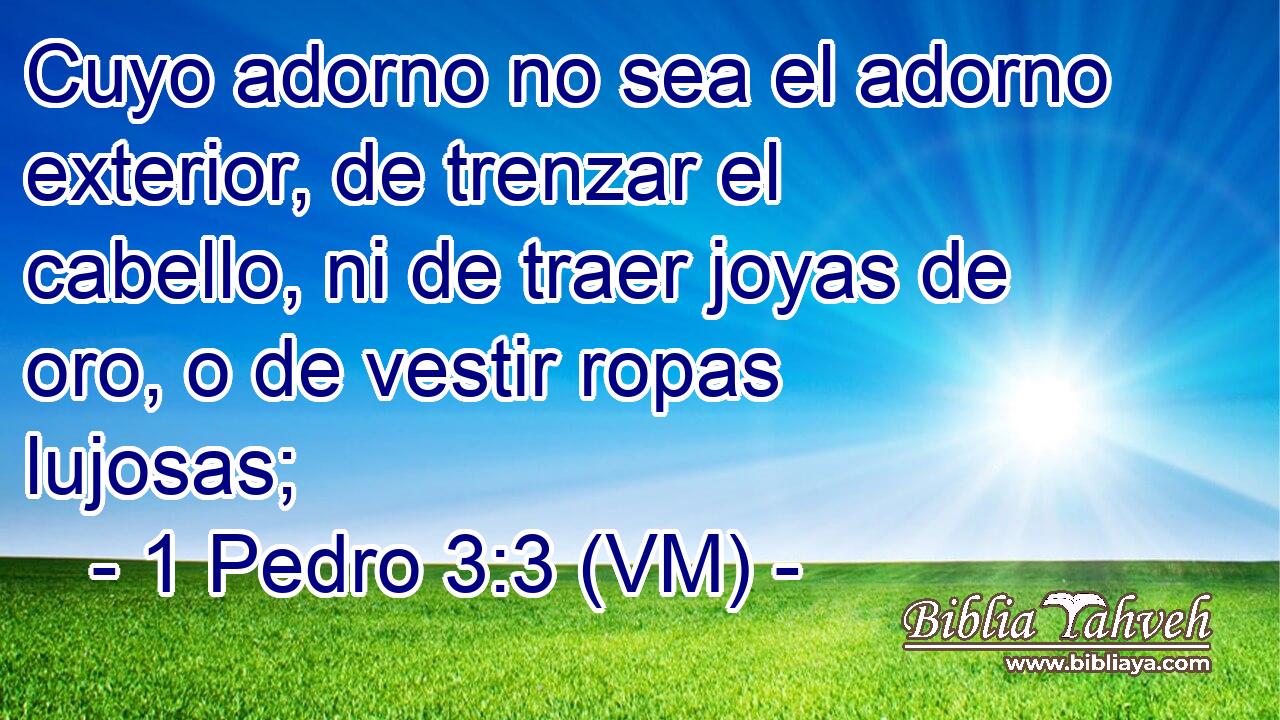  Cuyo adorno no sea el adorno exterior, de trenzar el cabello, ni de traer joyas de oro, o de vestir ropas lujosas; 