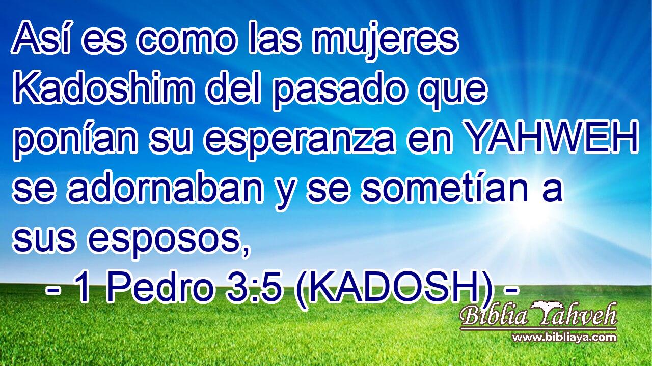  Así es como las mujeres Kadoshim del pasado que ponían su esperanza en YAHWEH se adornaban y se sometían a sus esposos, 