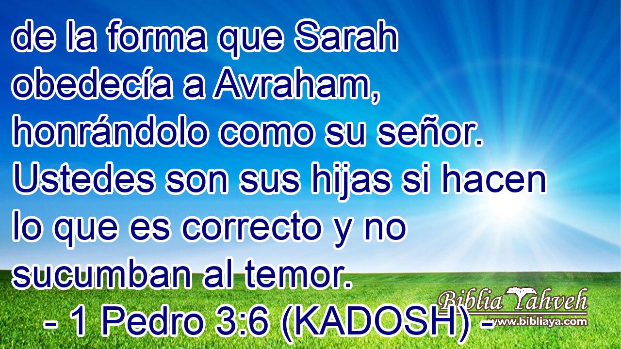  de la forma que Sarah obedecía a Avraham, honrándolo como su señor. Ustedes son sus hijas si hacen lo que es correcto y no sucumban al temor. 