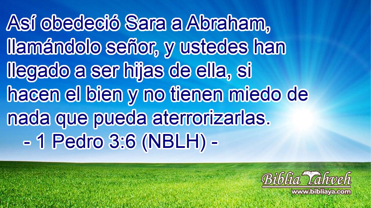  Así obedeció Sara a Abraham, llamándolo señor, y ustedes han llegado a ser hijas de ella, si hacen el bien y no tienen miedo de nada que pueda aterrorizarlas. 