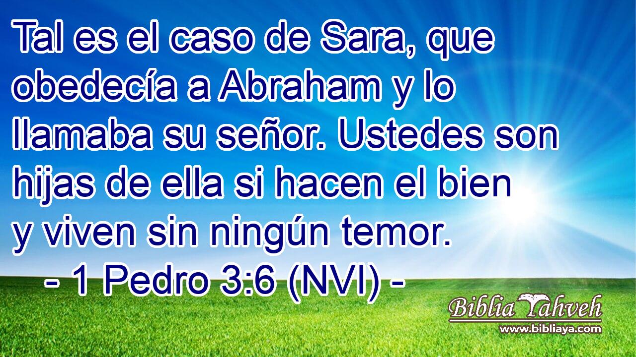  Tal es el caso de Sara, que obedecía a Abraham y lo llamaba su señor. Ustedes son hijas de ella si hacen el bien y viven sin ningún temor. 