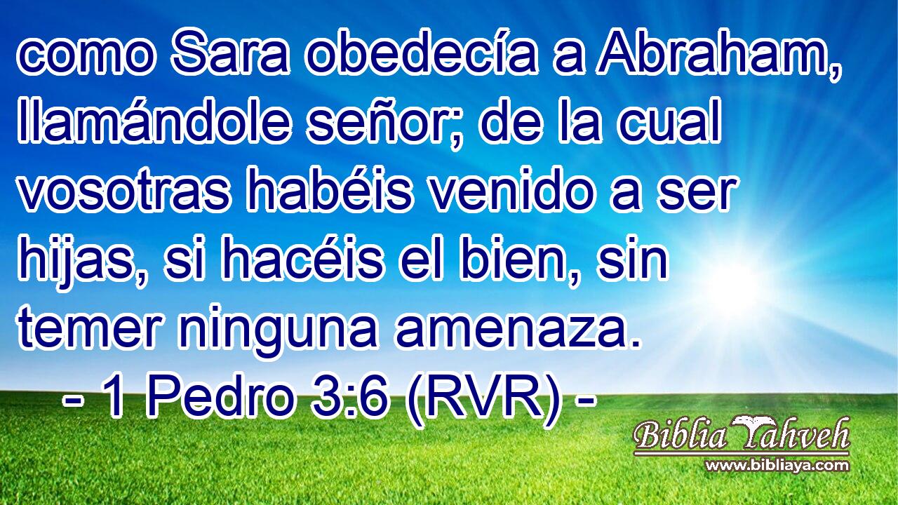 como Sara obedecía a Abraham, llamándole señor; de la cual vosotras habéis venido a ser hijas, si hacéis el bien, sin temer ninguna amenaza.