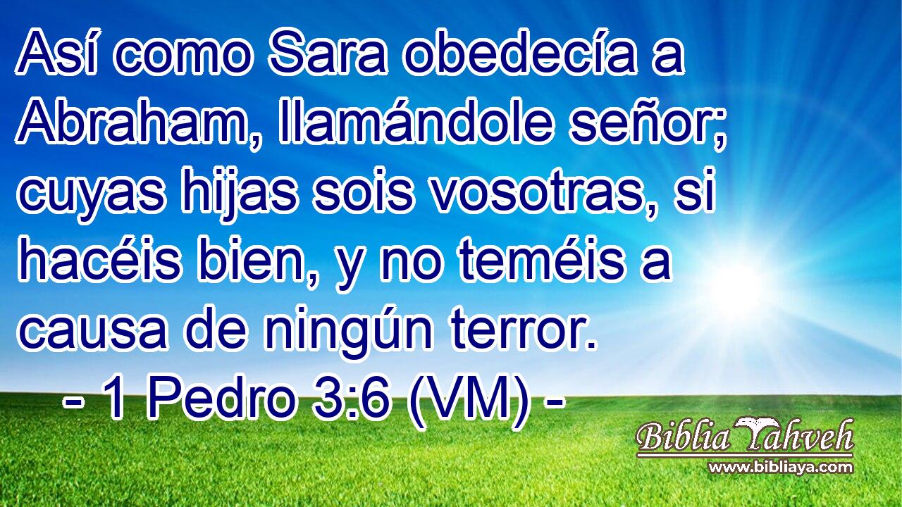  Así como Sara obedecía a Abraham, llamándole señor; cuyas hijas sois vosotras, si hacéis bien, y no teméis a causa de ningún terror. 