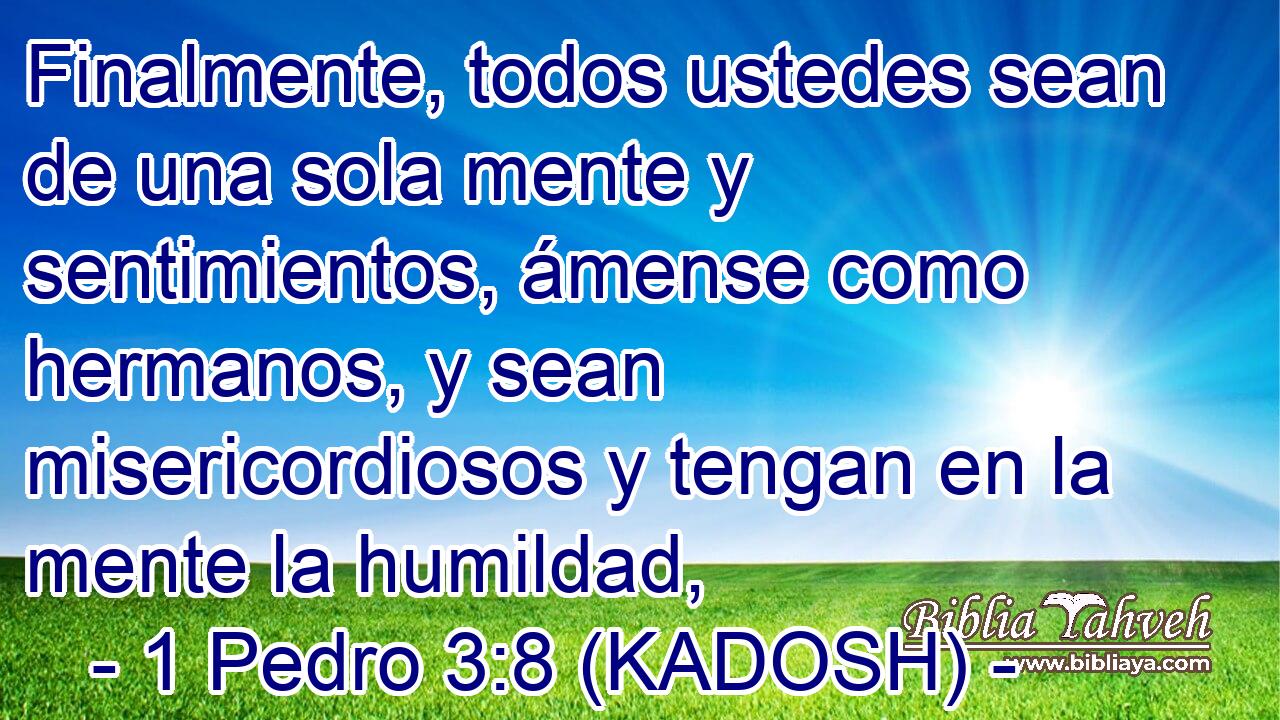  Finalmente, todos ustedes sean de una sola mente y sentimientos, ámense como hermanos, y sean misericordiosos y tengan en la mente la humildad, 