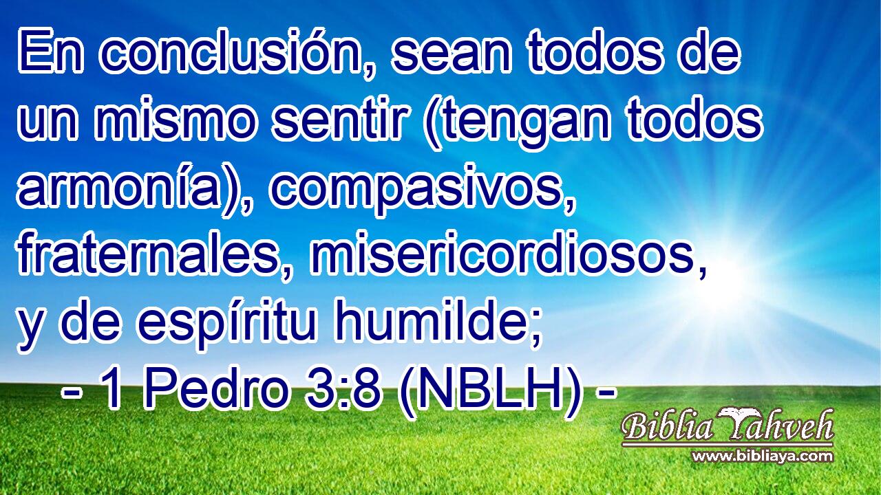  En conclusión, sean todos de un mismo sentir (tengan todos armonía), compasivos, fraternales, misericordiosos, y de espíritu humilde; 