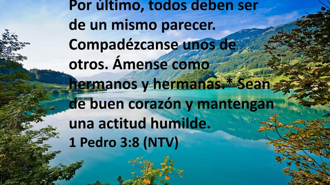 Por último, todos deben ser de un mismo parecer. Compadézcanse unos de otros. Ámense como hermanos y hermanas.* Sean de buen corazón y mantengan una actitud humilde.