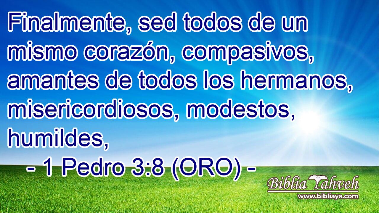  Finalmente, sed todos de un mismo corazón, compasivos, amantes de todos los hermanos, misericordiosos, modestos, humildes, 