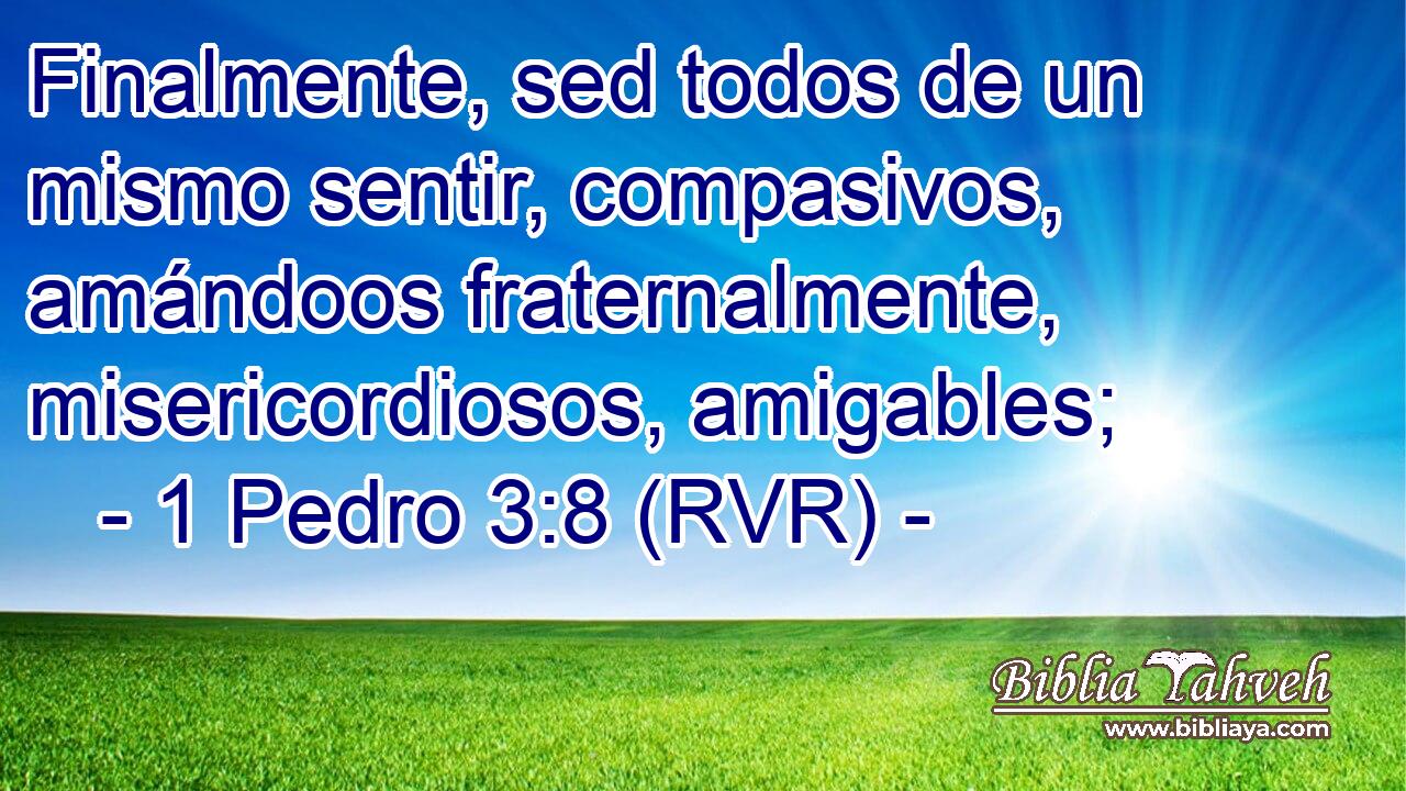 Finalmente, sed todos de un mismo sentir, compasivos, amándoos fraternalmente, misericordiosos, amigables;