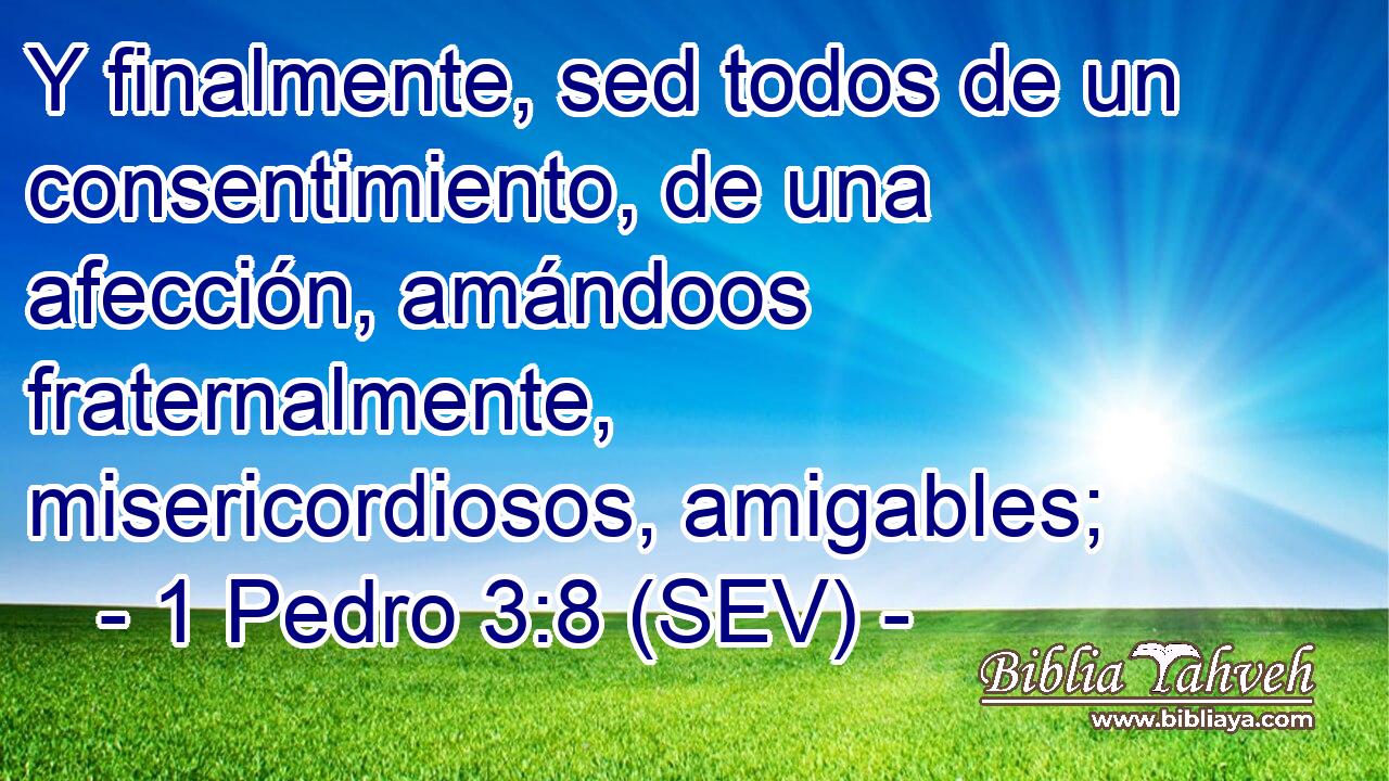 Y finalmente, sed todos de un consentimiento, de una afección, amándoos fraternalmente, misericordiosos, amigables;