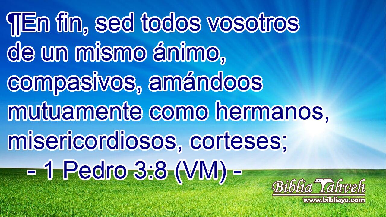  ¶En fin, sed todos vosotros de un mismo ánimo, compasivos, amándoos mutuamente como hermanos, misericordiosos, corteses; 