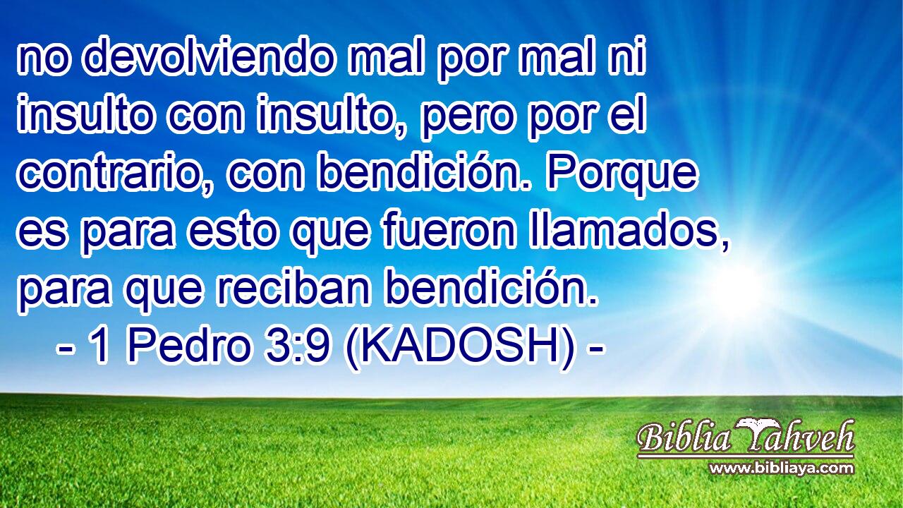  no devolviendo mal por mal ni insulto con insulto, pero por el contrario, con bendición. Porque es para esto que fueron llamados, para que reciban bendición. 