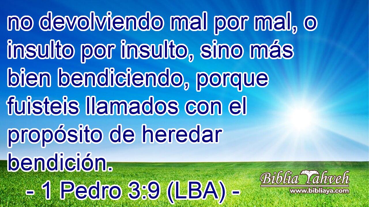 no devolviendo mal por mal, o insulto por insulto, sino más bien bendiciendo, porque fuisteis llamados con el propósito de heredar bendición.