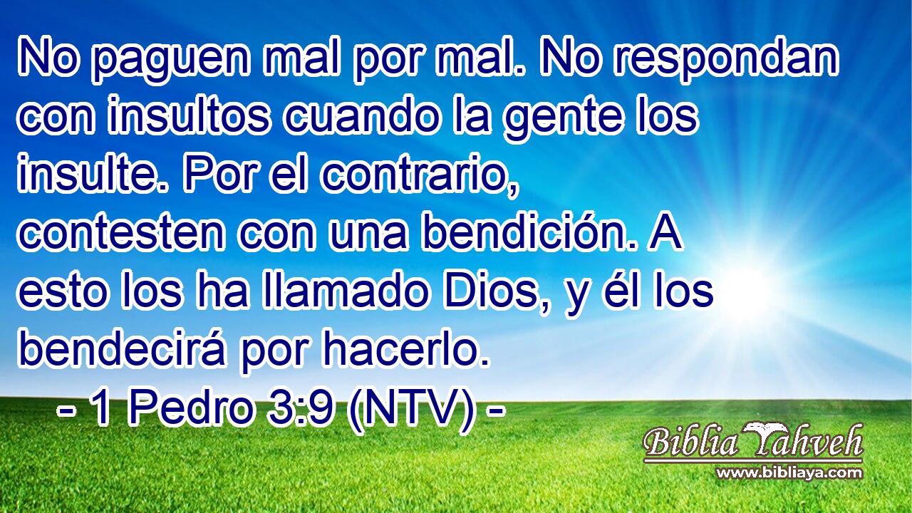 No paguen mal por mal. No respondan con insultos cuando la gente los insulte. Por el contrario, contesten con una bendición. A esto los ha llamado Dios, y él los bendecirá por hacerlo.