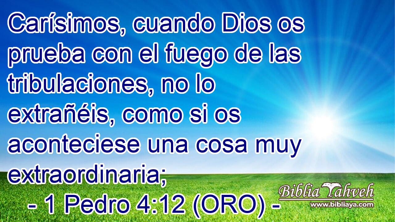  Carísimos, cuando Dios os prueba con el fuego de las tribulaciones, no lo extrañéis, como si os aconteciese una cosa muy extraordinaria; 