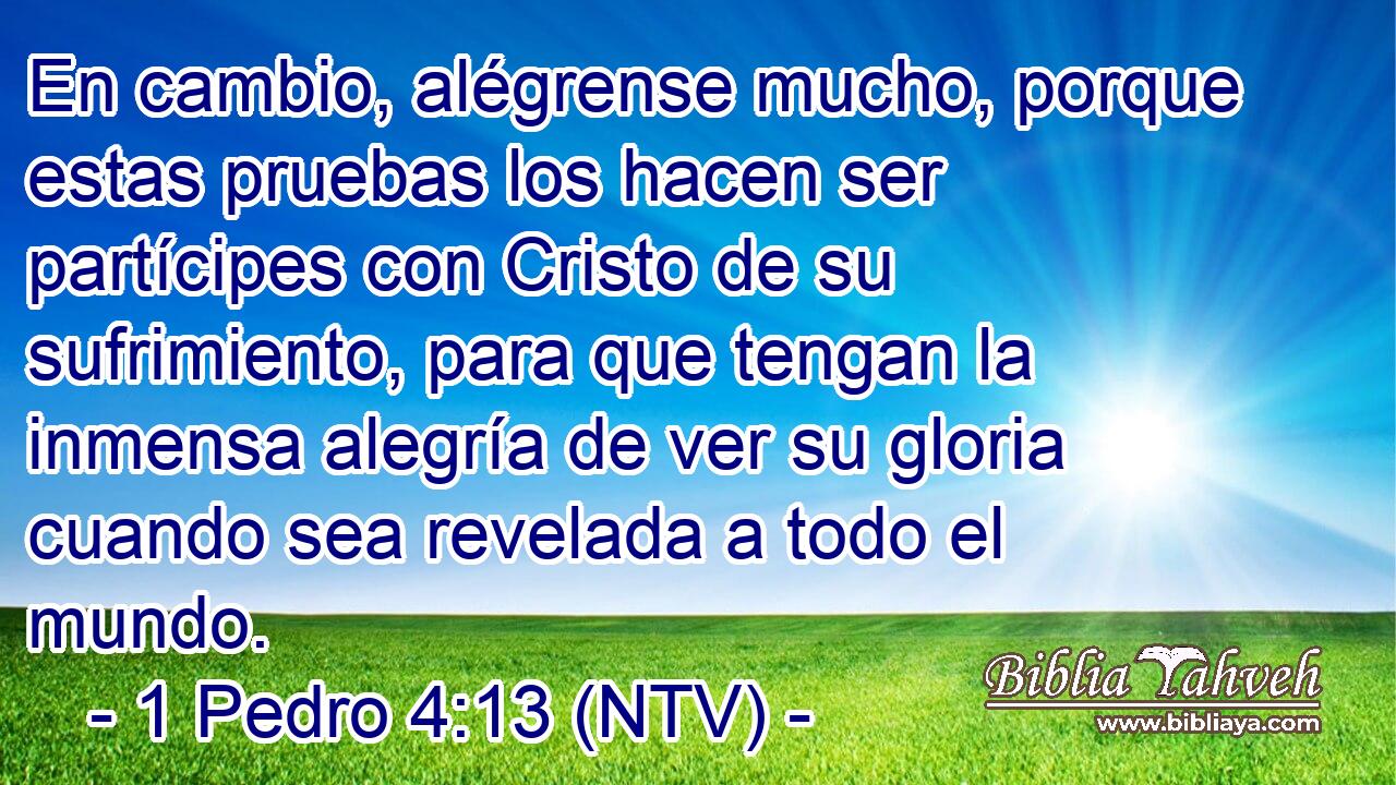 En cambio, alégrense mucho, porque estas pruebas los hacen ser partícipes con Cristo de su sufrimiento, para que tengan la inmensa alegría de ver su gloria cuando sea revelada a todo el mundo.