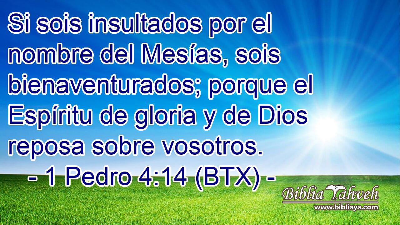 Si sois insultados por el nombre del Mesías, sois bienaventurados; porque el Espíritu de gloria y de Dios reposa sobre vosotros.