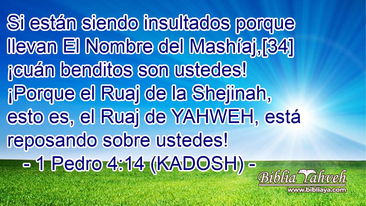  Si están siendo insultados porque llevan El Nombre del Mashíaj,[34] ¡cuán benditos son ustedes! ¡Porque el Ruaj de la Shejinah, esto es, el Ruaj de YAHWEH, está reposando sobre ustedes! 