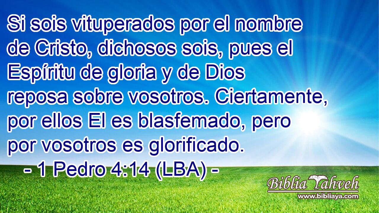 Si sois vituperados por el nombre de Cristo, dichosos sois, pues el Espíritu de gloria y de Dios reposa sobre vosotros. Ciertamente, por ellos El es blasfemado, pero por vosotros es glorificado.