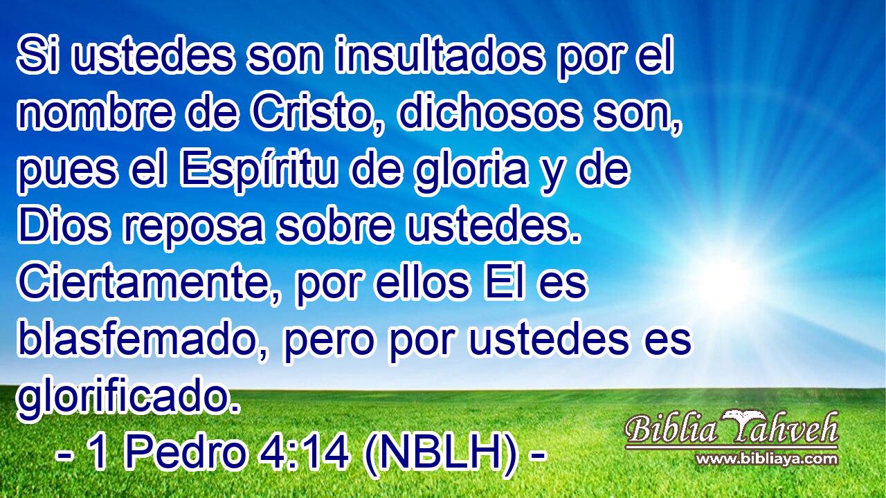  Si ustedes son insultados por el nombre de Cristo, dichosos son, pues el Espíritu de gloria y de Dios reposa sobre ustedes. Ciertamente, por ellos El es blasfemado, pero por ustedes es glorificado. 