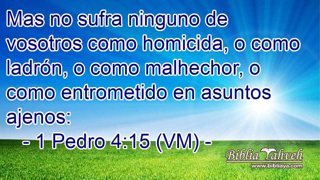  Mas no sufra ninguno de vosotros como homicida, o como ladrón, o como malhechor, o como entrometido en asuntos ajenos: 