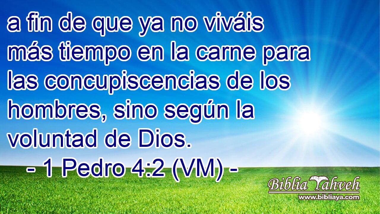  a fin de que ya no viváis más tiempo en la carne para las concupiscencias de los hombres, sino según la voluntad de Dios. 