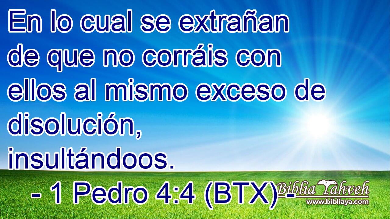 En lo cual se extrañan de que no corráis con ellos al mismo exceso de disolución, insultándoos.