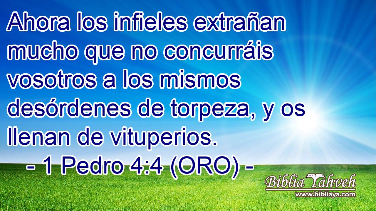  Ahora los infieles extrañan mucho que no concurráis vosotros a los mismos desórdenes de torpeza, y os llenan de vituperios. 