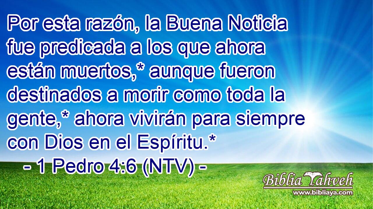 Por esta razón, la Buena Noticia fue predicada a los que ahora están muertos,* aunque fueron destinados a morir como toda la gente,* ahora vivirán para siempre con Dios en el Espíritu.*