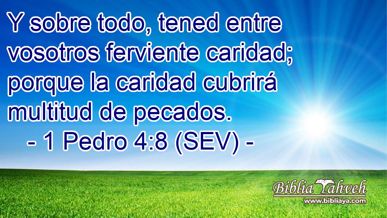 Y sobre todo, tened entre vosotros ferviente caridad; porque la caridad cubrirá multitud de pecados.