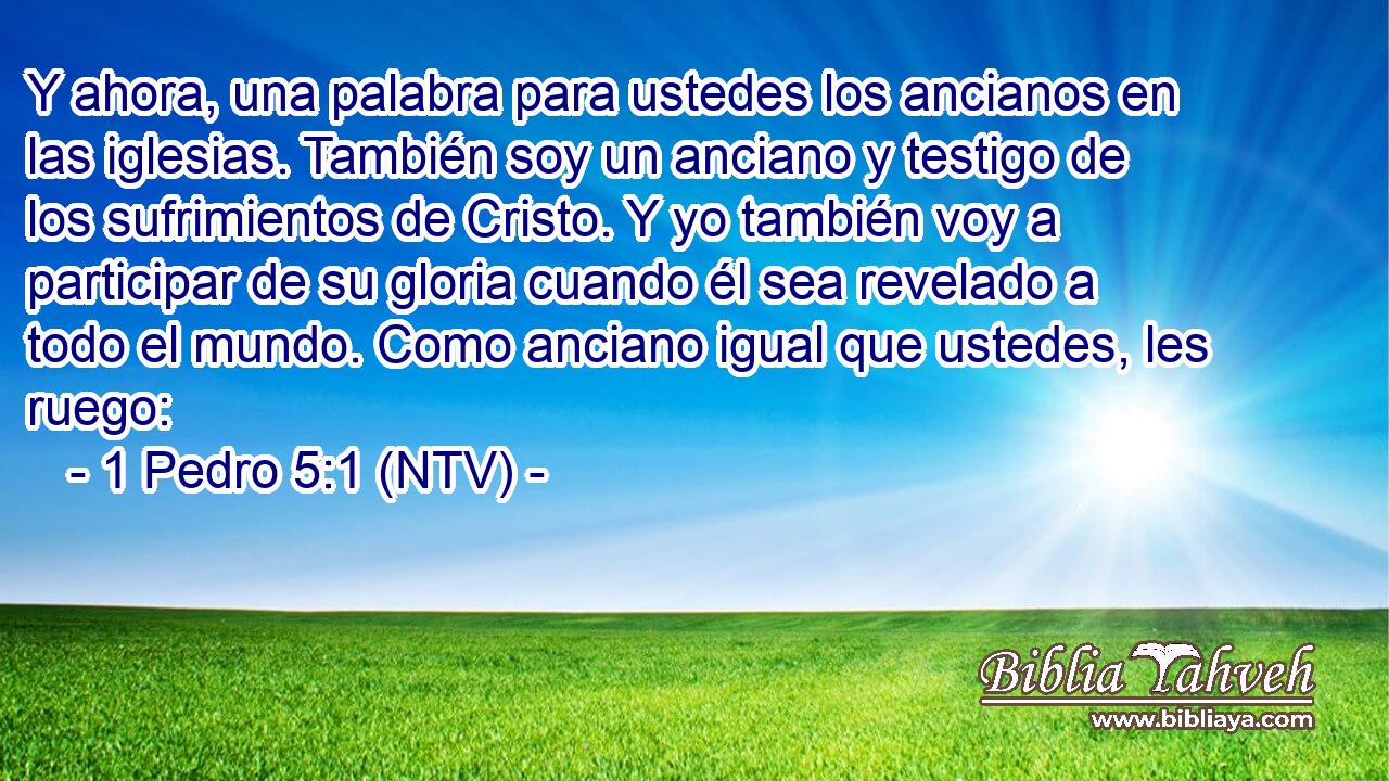 Y ahora, una palabra para ustedes los ancianos en las iglesias. También soy un anciano y testigo de los sufrimientos de Cristo. Y yo también voy a participar de su gloria cuando él sea revelado a todo el mundo. Como anciano igual que ustedes, les ruego: