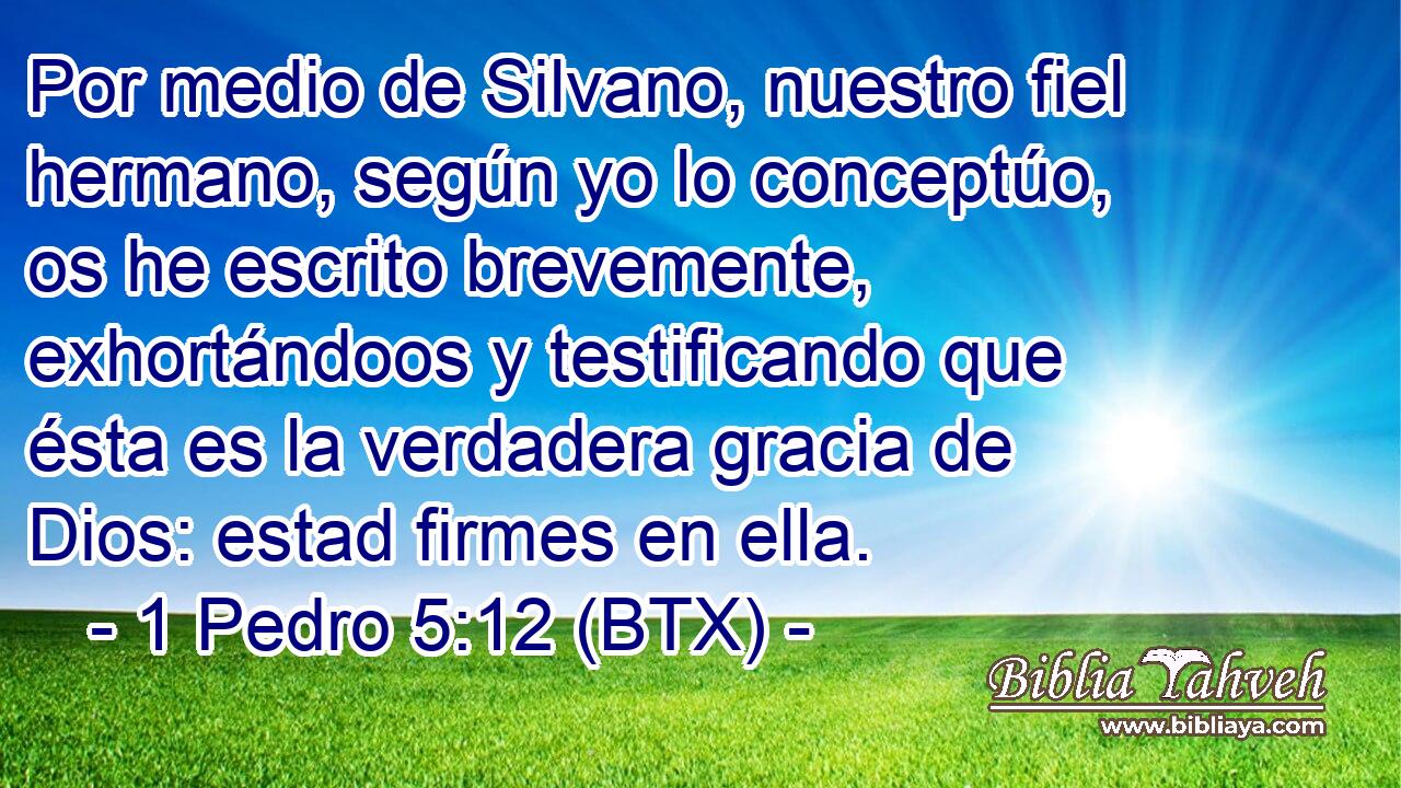 Por medio de Silvano, nuestro fiel hermano, según yo lo conceptúo, os he escrito brevemente, exhortándoos y testificando que ésta es la verdadera gracia de Dios: estad firmes en ella.