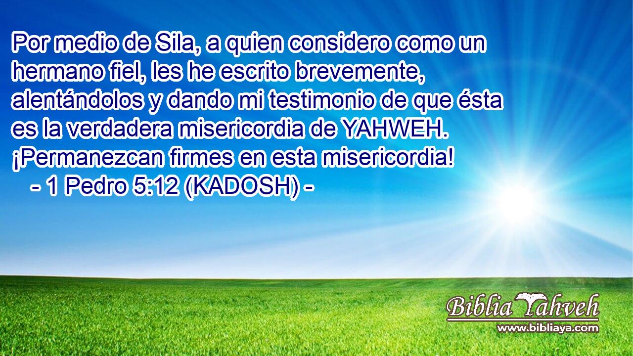  Por medio de Sila, a quien considero como un hermano fiel, les he escrito brevemente, alentándolos y dando mi testimonio de que ésta es la verdadera misericordia de YAHWEH. ¡Permanezcan firmes en esta misericordia! 