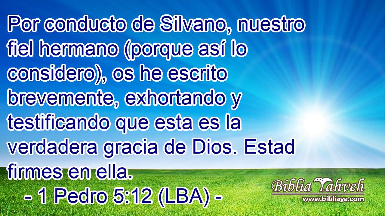Por conducto de Silvano, nuestro fiel hermano (porque así lo considero), os he escrito brevemente, exhortando y testificando que esta es la verdadera gracia de Dios. Estad firmes en ella.
