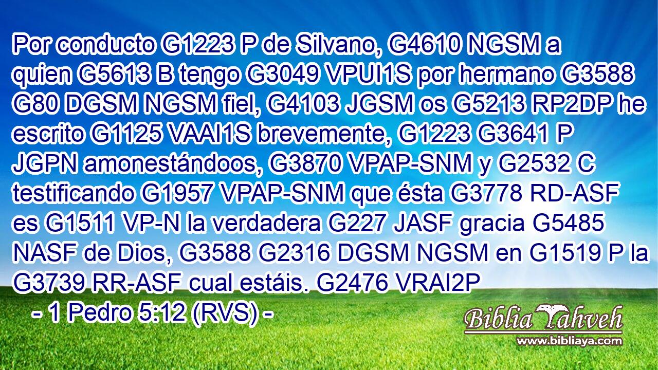 Por conducto G1223 P de Silvano, G4610 NGSM a quien G5613 B tengo G3049 VPUI1S por hermano G3588 G80 DGSM NGSM fiel, G4103 JGSM os G5213 RP2DP he escrito G1125 VAAI1S brevemente, G1223 G3641 P JGPN amonestándoos, G3870 VPAP-SNM y G2532 C testificando G1957 VPAP-SNM que ésta G3778 RD-ASF es G1511 VP-N la verdadera G227 JASF gracia G5485 NASF de Dios, G3588 G2316 DGSM NGSM en G1519 P la G3739 RR-ASF cual estáis. G2476 VRAI2P 