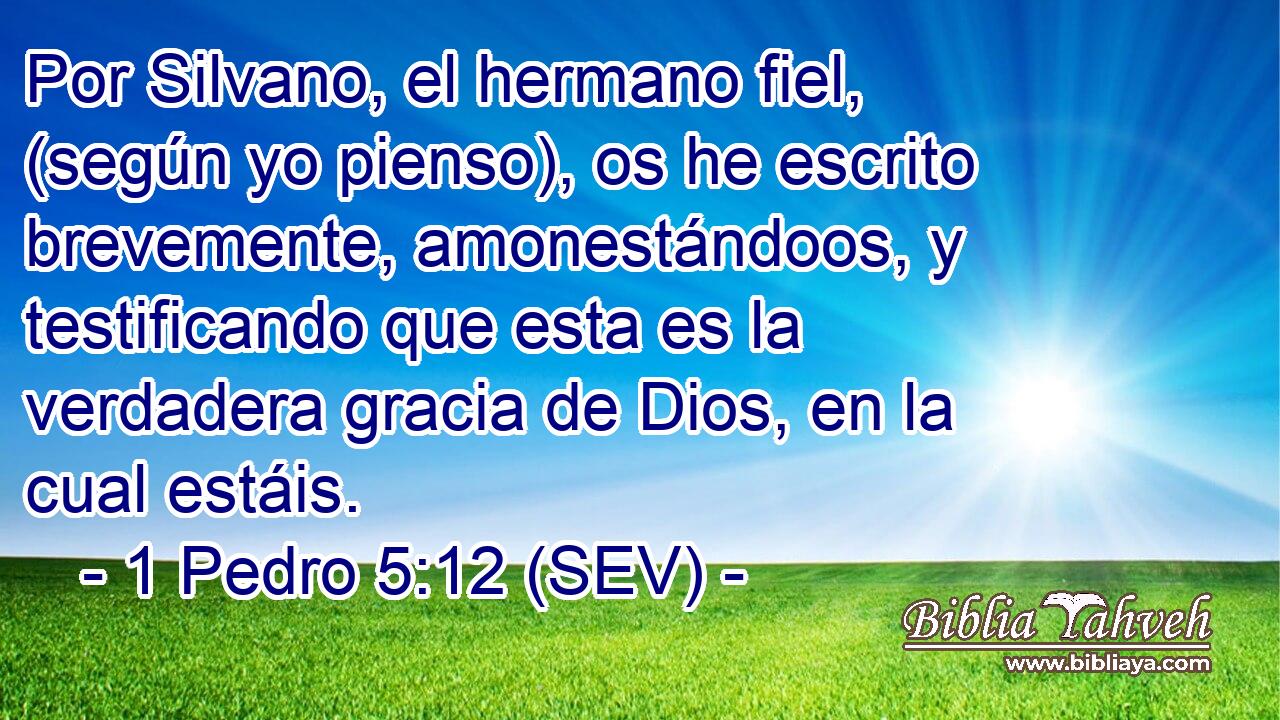 Por Silvano, el hermano fiel, (según yo pienso), os he escrito brevemente, amonestándoos, y testificando que esta es la verdadera gracia de Dios, en la cual estáis.