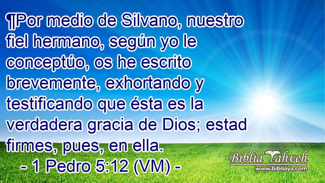  ¶Por medio de Silvano, nuestro fiel hermano, según yo le conceptúo, os he escrito brevemente, exhortando y testificando que ésta es la verdadera gracia de Dios; estad firmes, pues, en ella. 