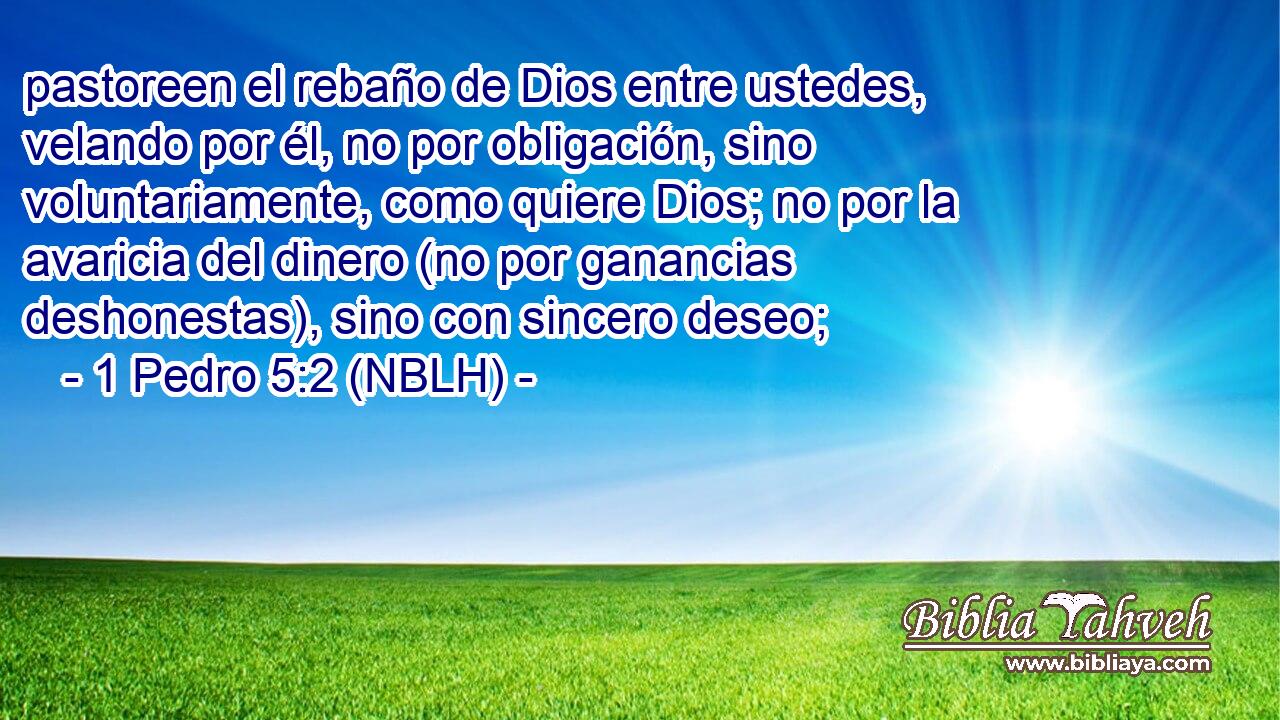 pastoreen el rebaño de Dios entre ustedes, velando por él, no por obligación, sino voluntariamente, como quiere Dios; no por la avaricia del dinero (no por ganancias deshonestas), sino con sincero deseo; 