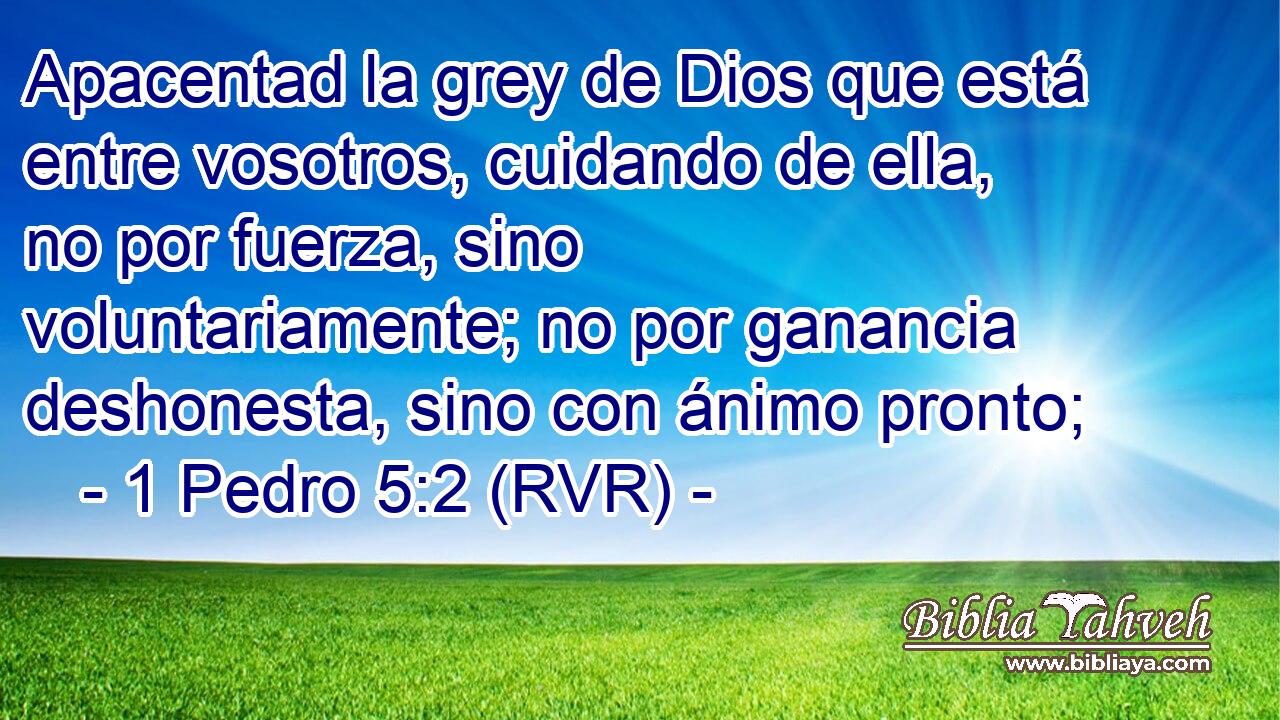 Apacentad la grey de Dios que está entre vosotros, cuidando de ella, no por fuerza, sino voluntariamente; no por ganancia deshonesta, sino con ánimo pronto;