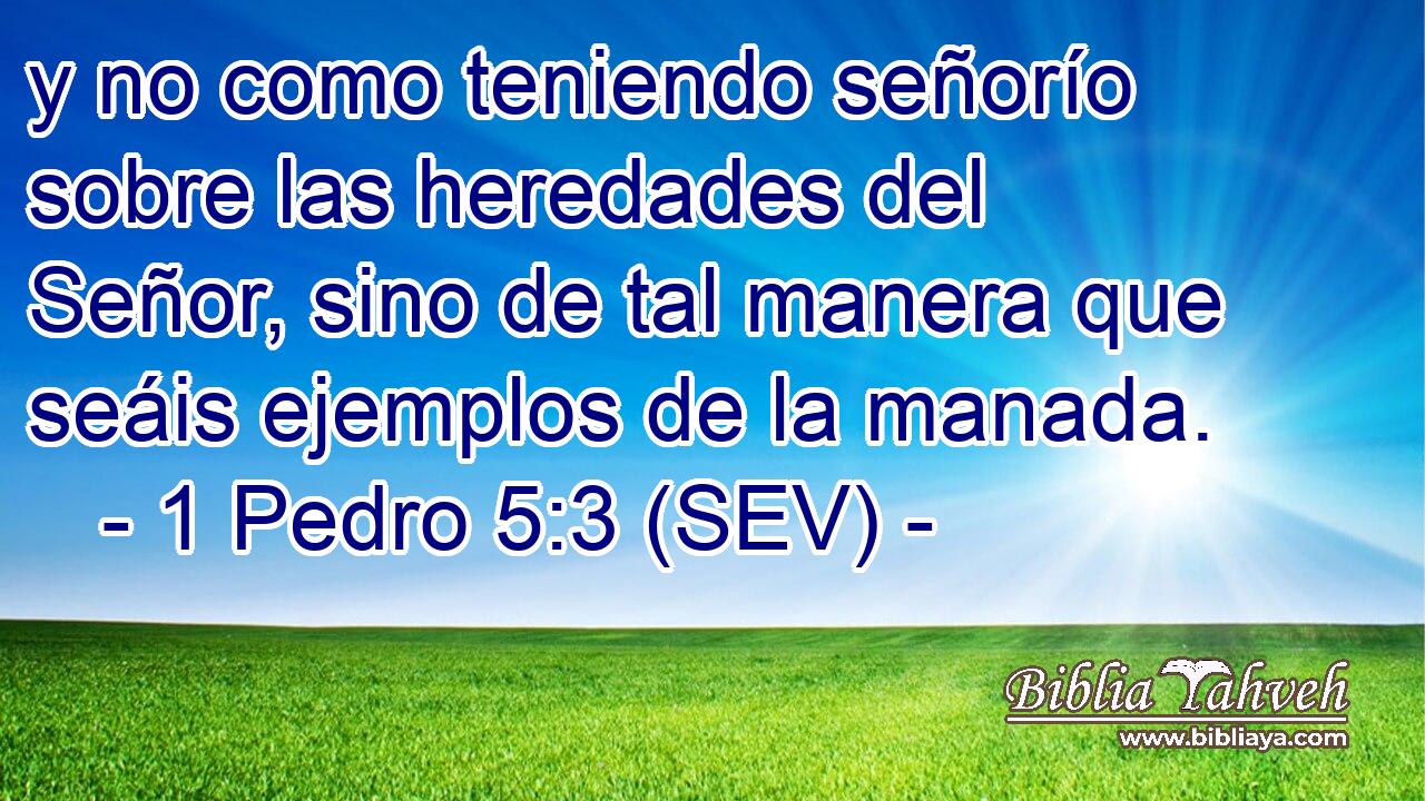 y no como teniendo señorío sobre las heredades del Señor, sino de tal manera que seáis ejemplos de la manada.