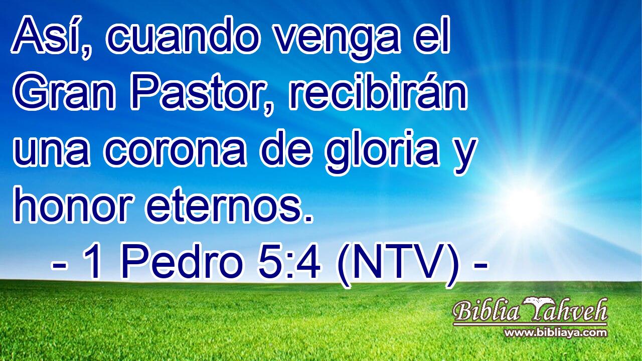 Así, cuando venga el Gran Pastor, recibirán una corona de gloria y honor eternos.