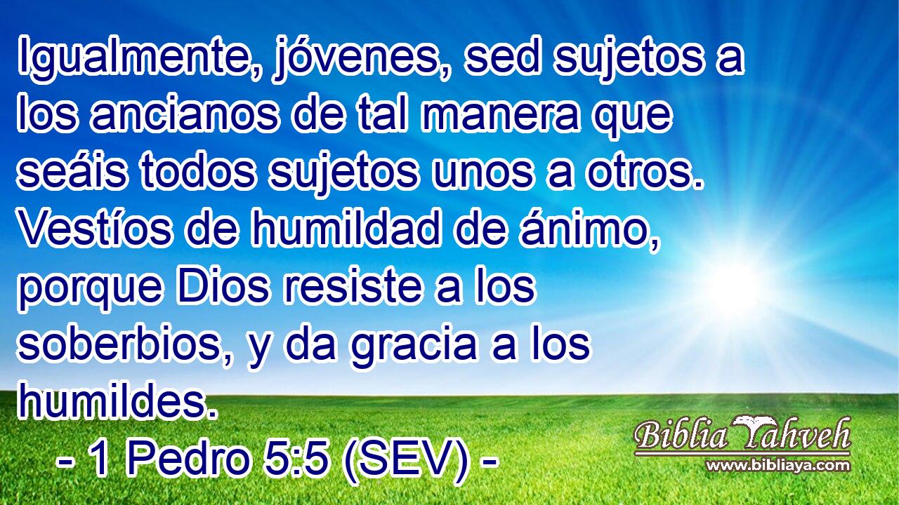 Igualmente, jóvenes, sed sujetos a los ancianos de tal manera que seáis todos sujetos unos a otros. Vestíos de humildad de ánimo, porque Dios resiste a los soberbios, y da gracia a los humildes.