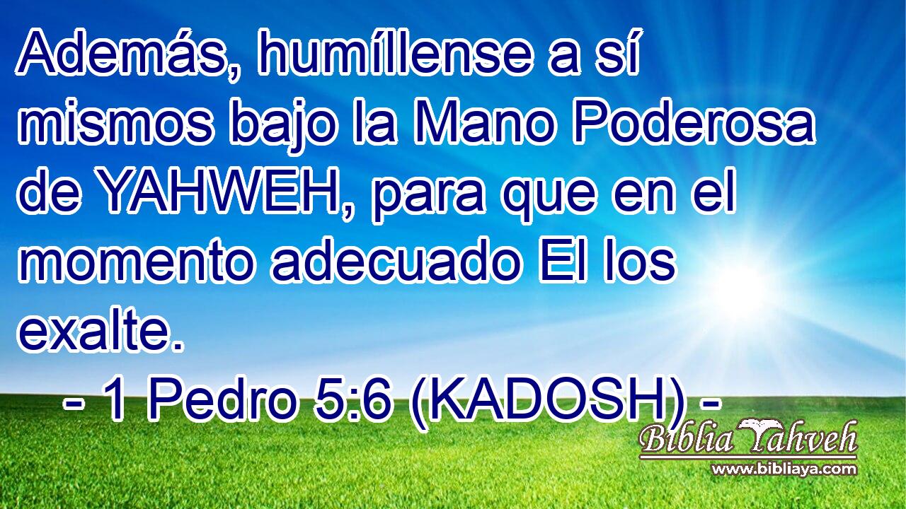  Además, humíllense a sí mismos bajo la Mano Poderosa de YAHWEH, para que en el momento adecuado El los exalte. 