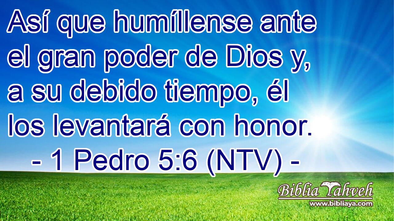 Así que humíllense ante el gran poder de Dios y, a su debido tiempo, él los levantará con honor.