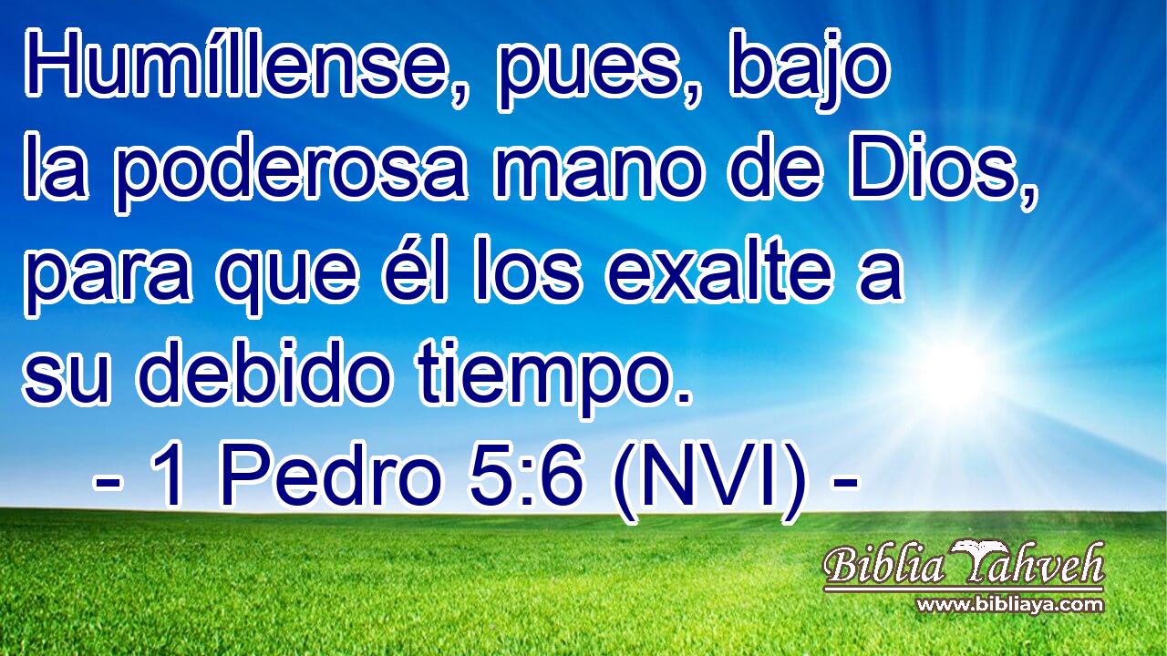  Humíllense, pues, bajo la poderosa mano de Dios, para que él los exalte a su debido tiempo. 