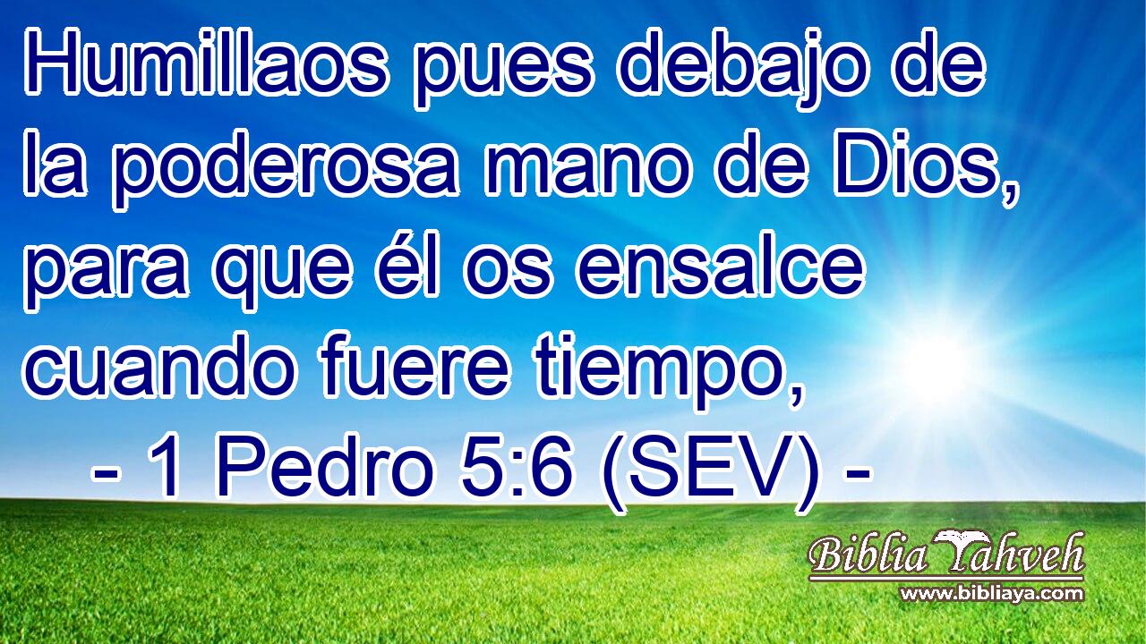 Humillaos pues debajo de la poderosa mano de Dios, para que él os ensalce cuando fuere tiempo,