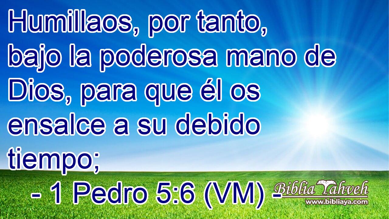  Humillaos, por tanto, bajo la poderosa mano de Dios, para que él os ensalce a su debido tiempo; 