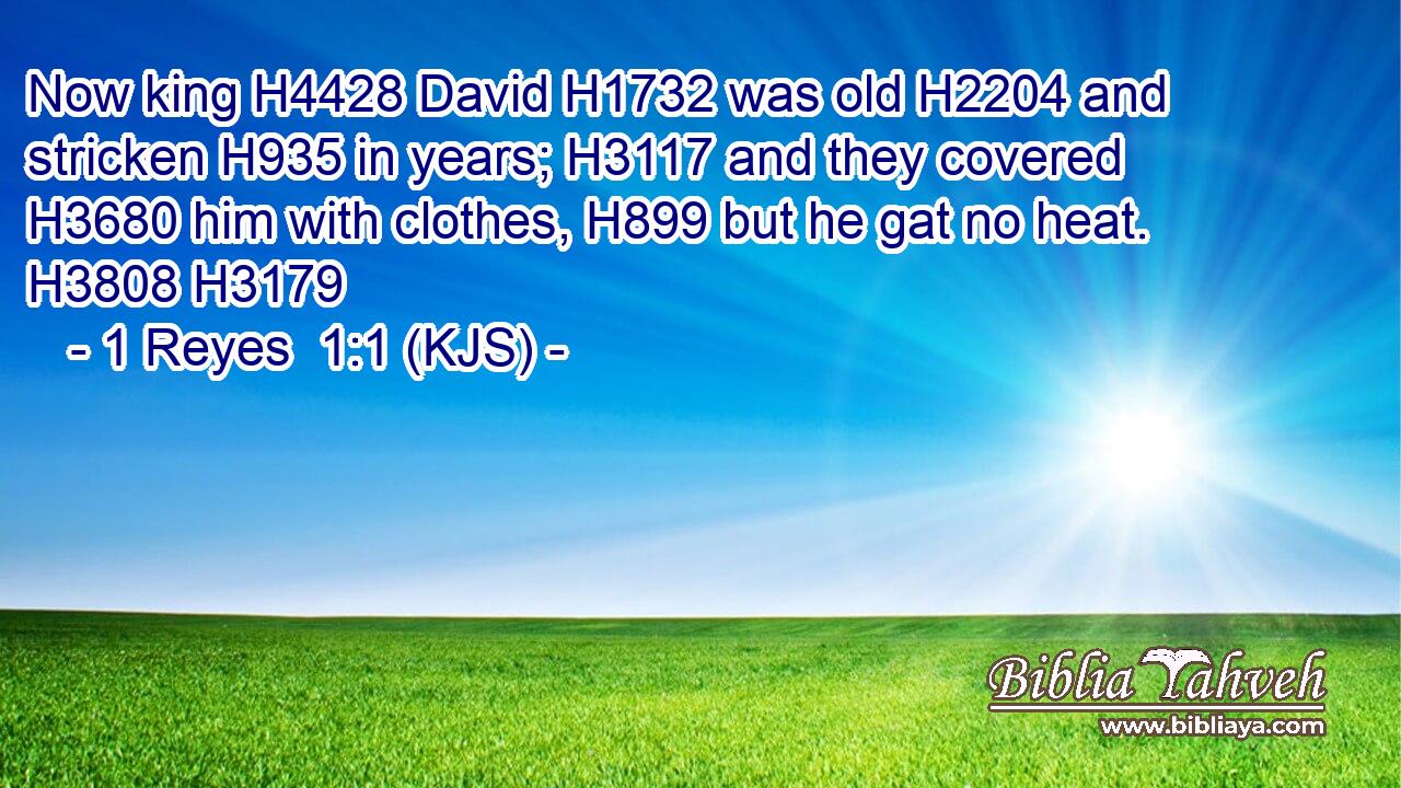 Now king H4428 David H1732 was old H2204 and stricken H935 in years; H3117 and they covered H3680 him with clothes, H899 but he gat no heat. H3808 H3179